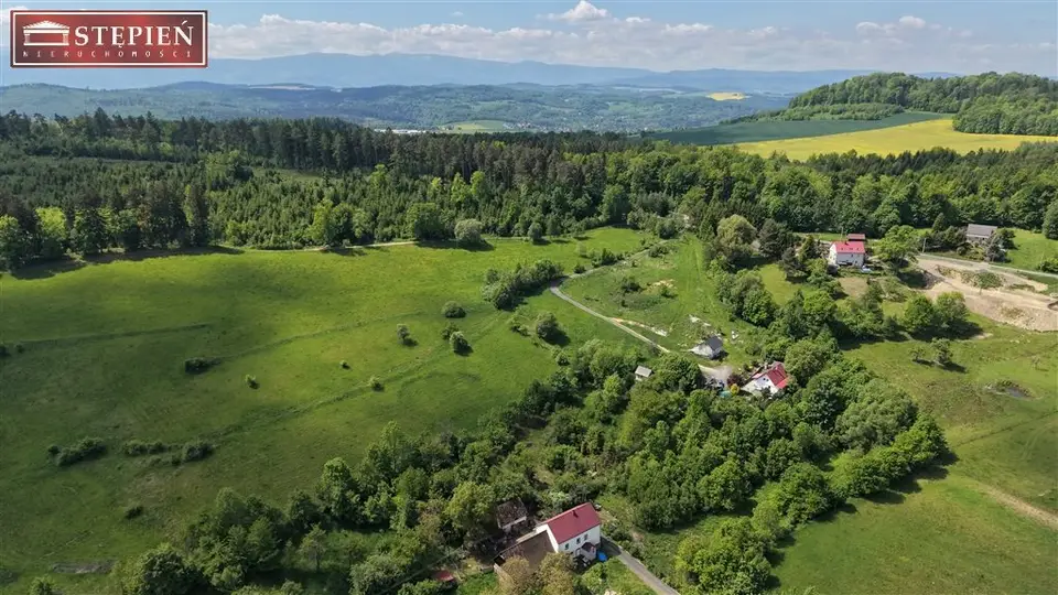 Zdjęcie 19