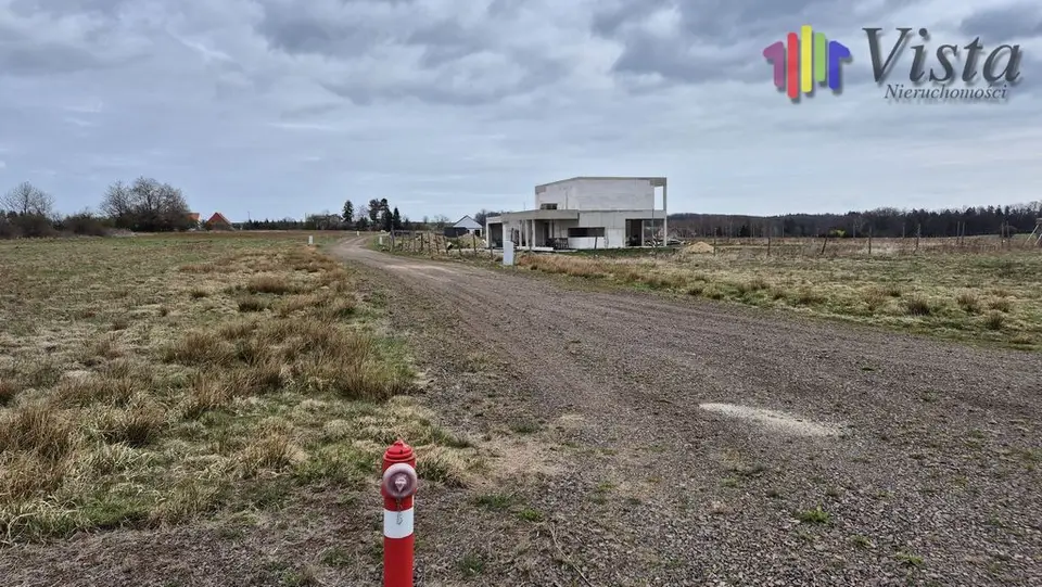 Zdjęcie 7