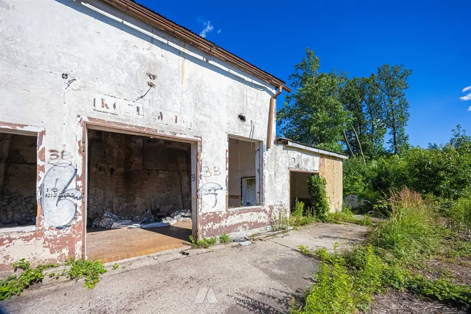 Zdjęcie 10