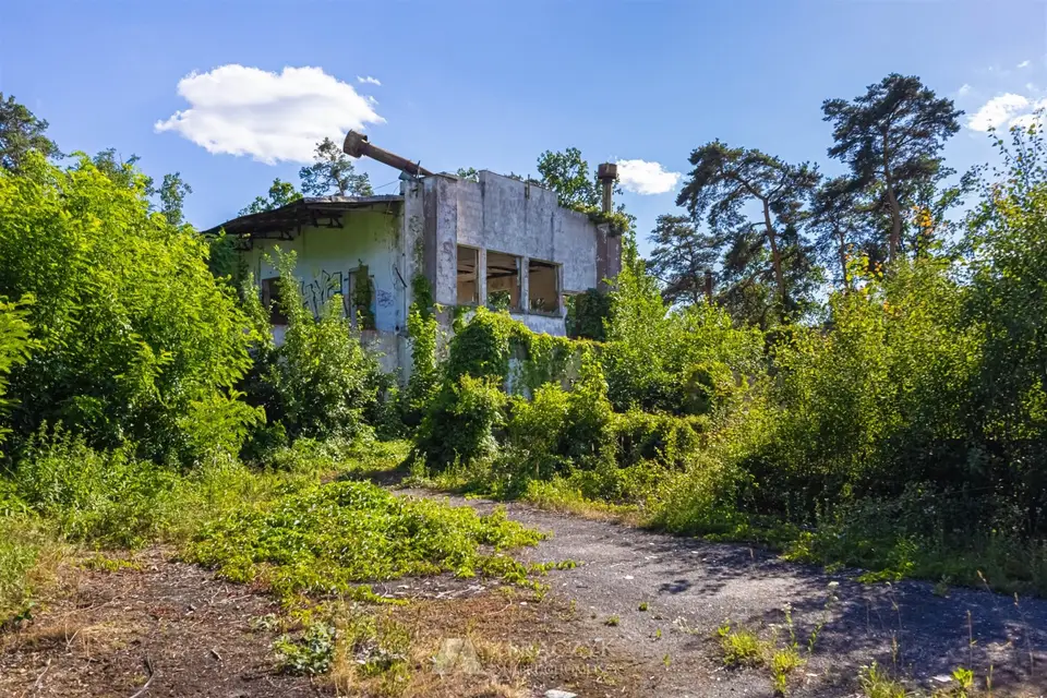 Zdjęcie 13
