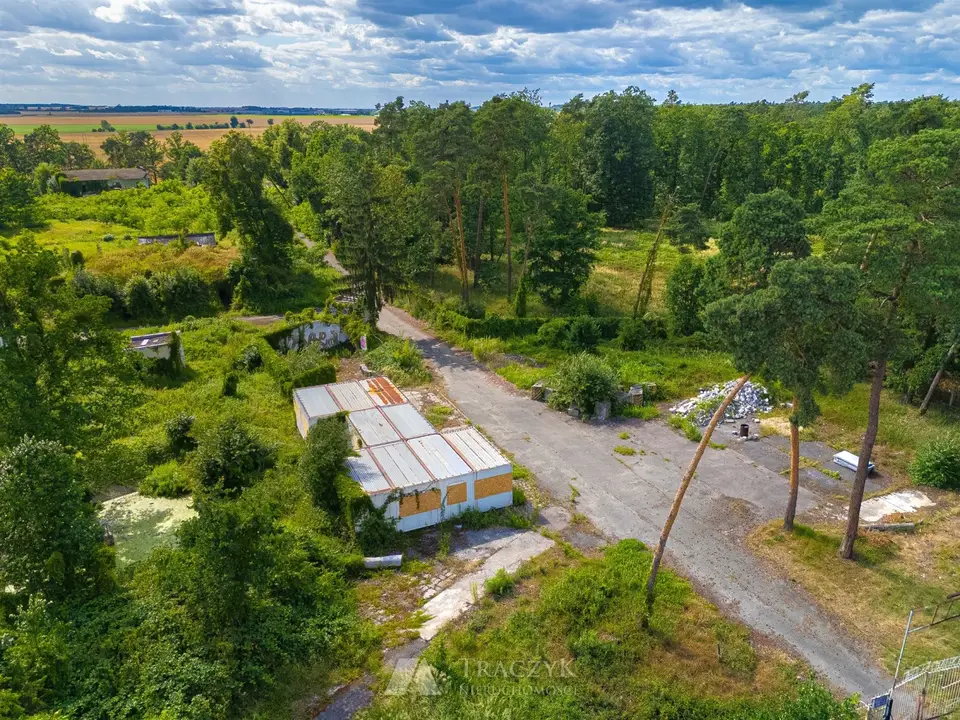Zdjęcie 18