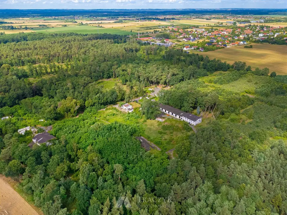 Zdjęcie 20