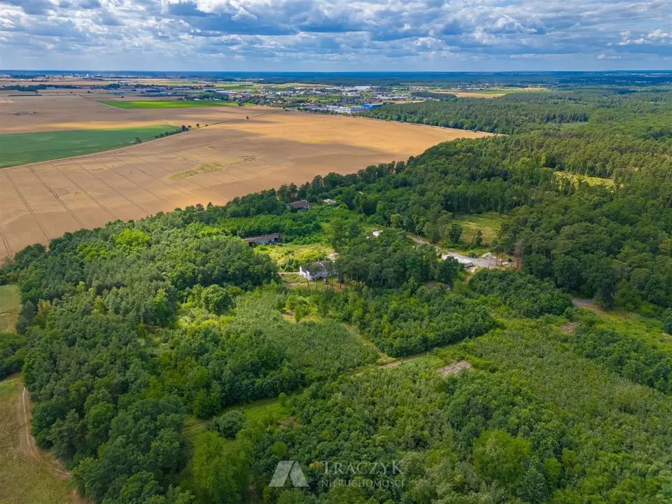 Zdjęcie 25