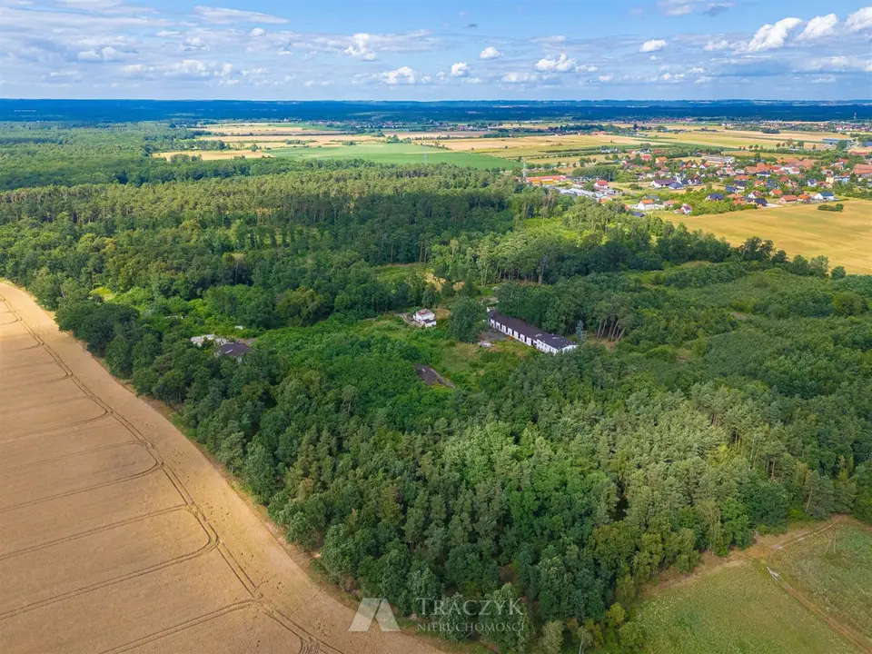 Zdjęcie 28