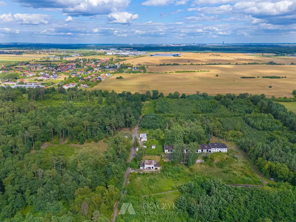 Zdjęcie 29