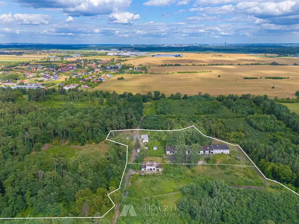 Zdjęcie 30