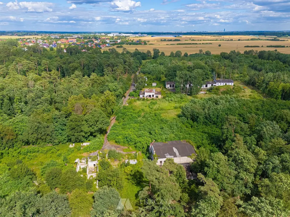 Zdjęcie 31