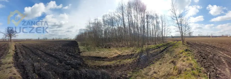 Zdjęcie 3