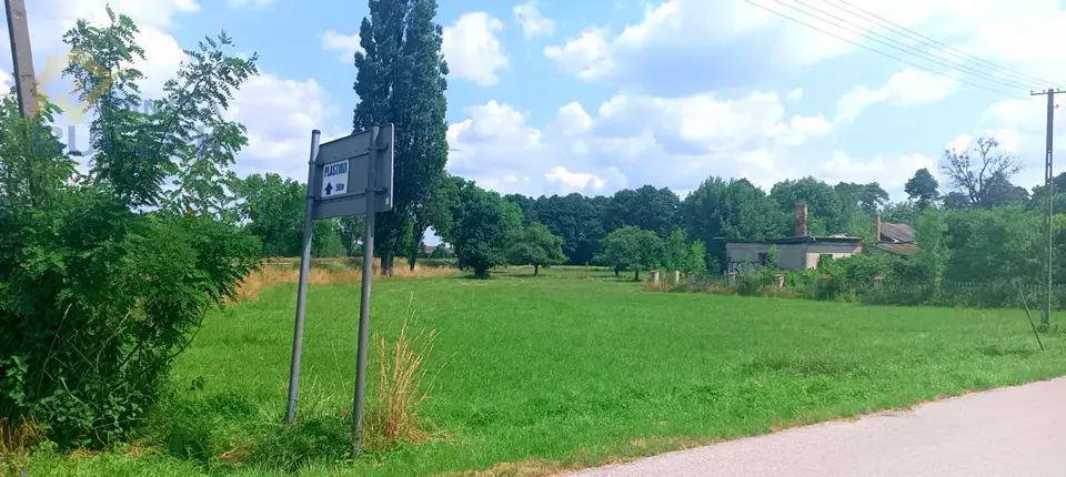 Zdjęcie 6