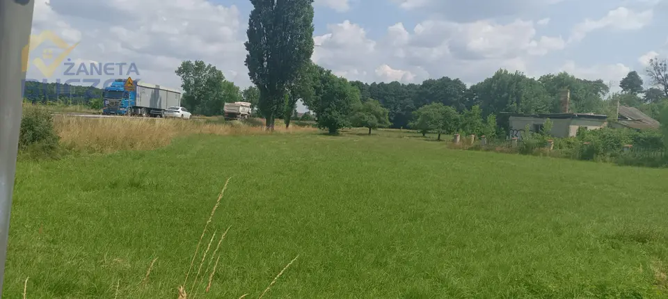 Zdjęcie 7