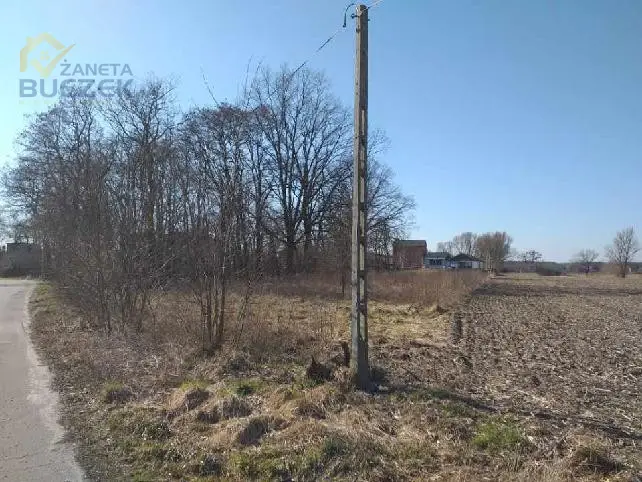 Zdjęcie 5