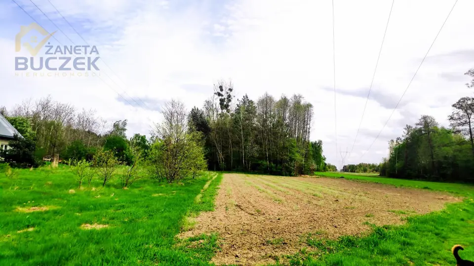 Działka rolna i leśna 12,22 ha, Juliopol