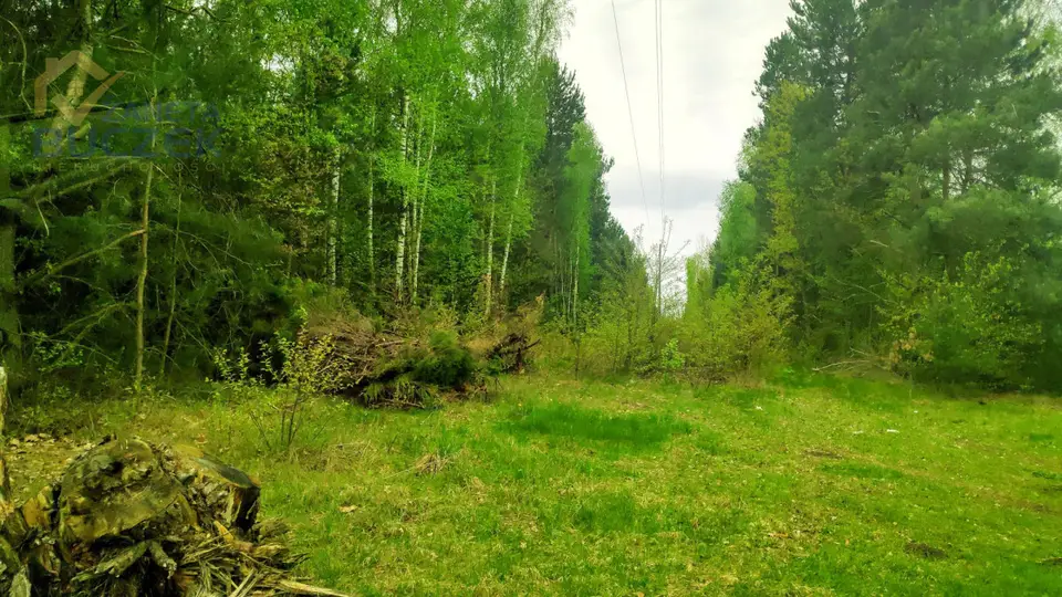 Zdjęcie 4