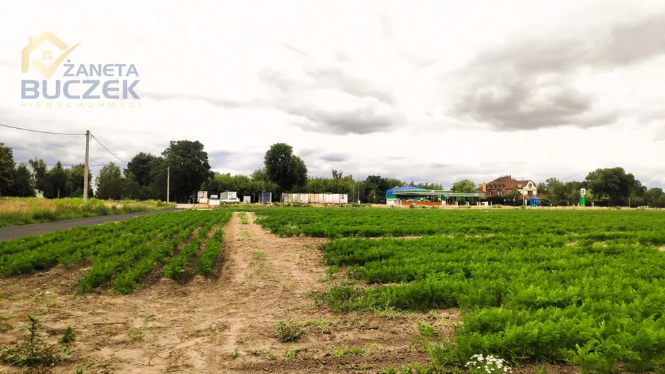 Działka inwestycyjna 1,36 ha, Marysinek
