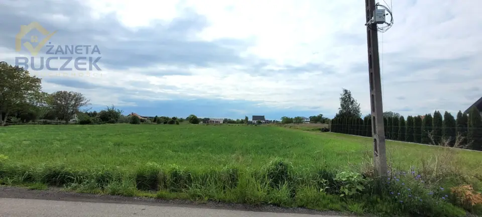 Zdjęcie 5