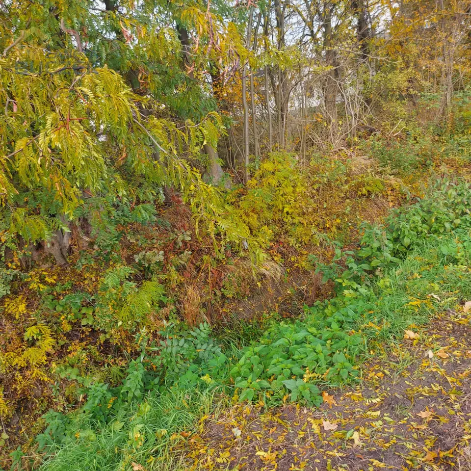 Zdjęcie 11