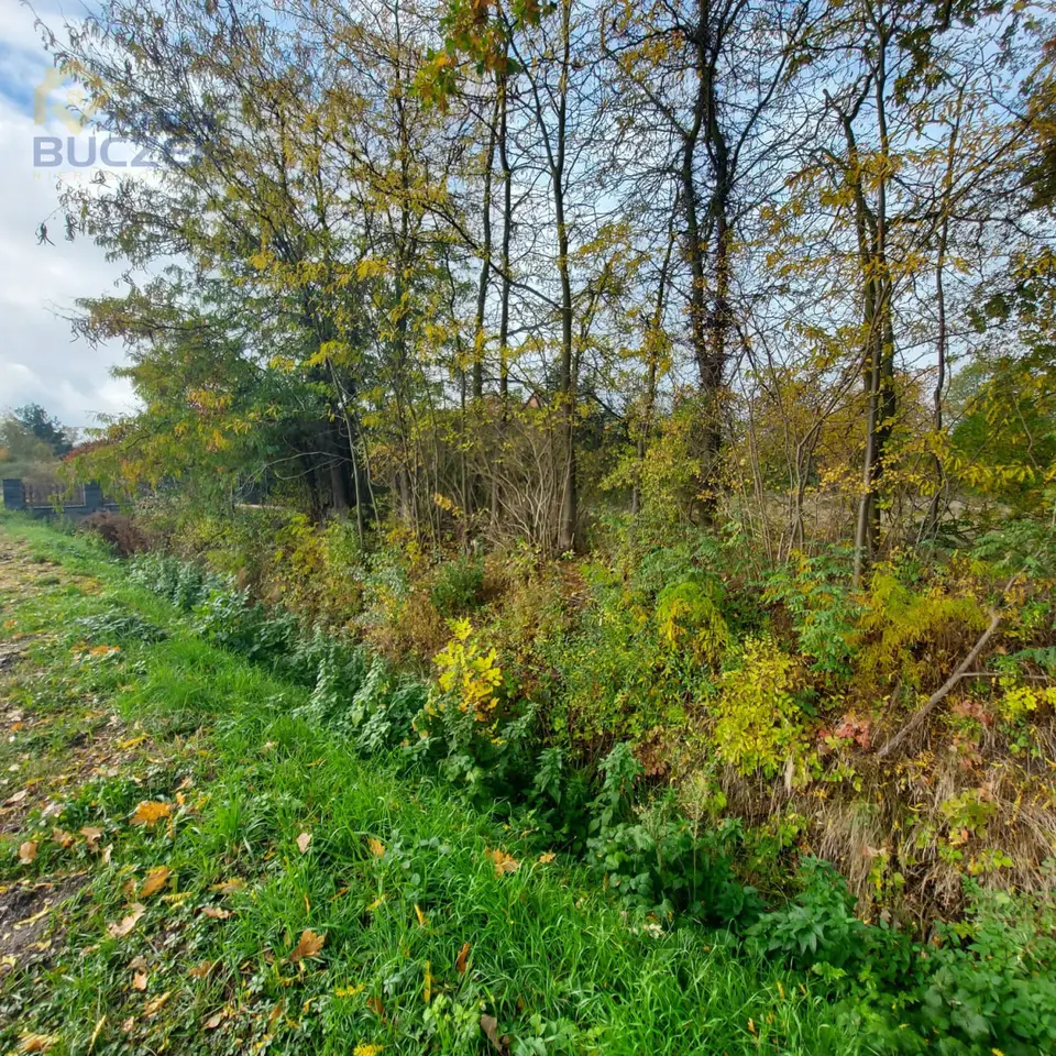 Zdjęcie 18
