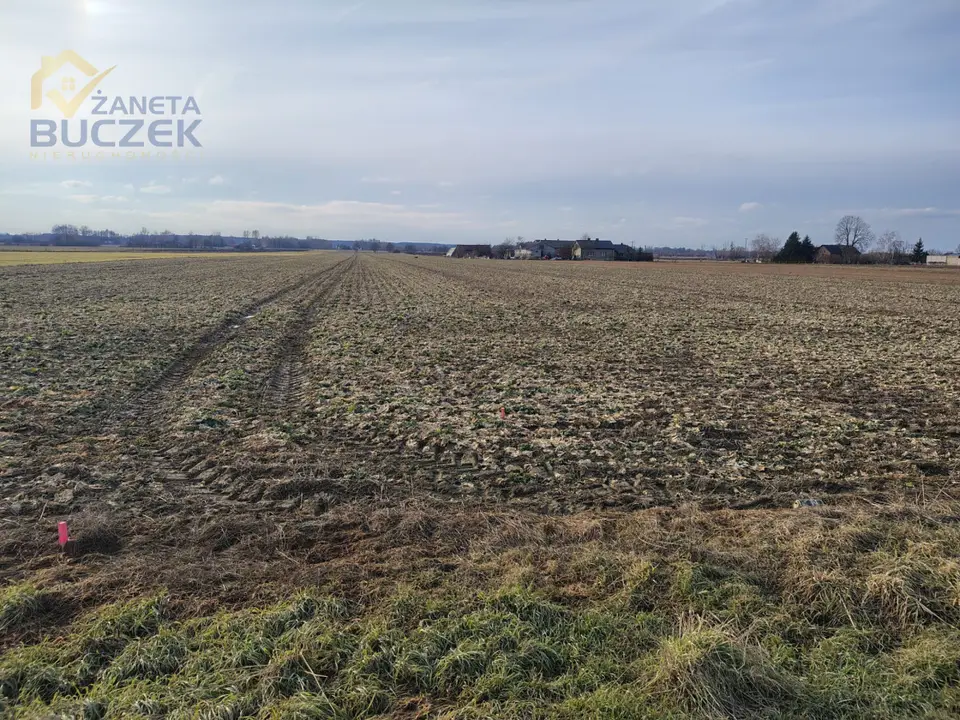 Zdjęcie 3