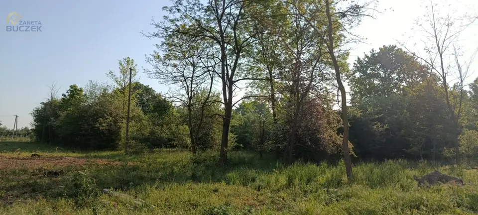 Zdjęcie 3