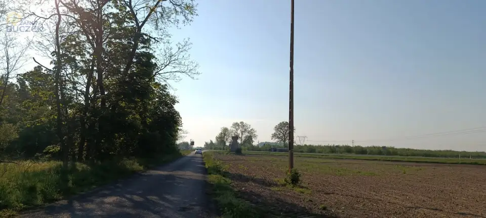 Zdjęcie 6