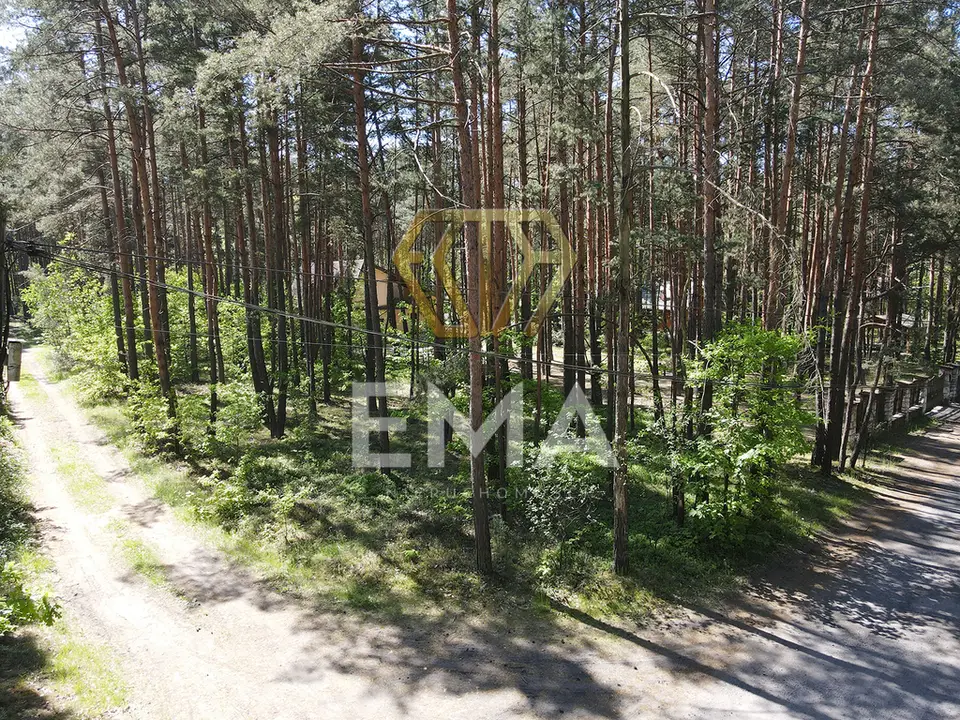 Zdjęcie 6