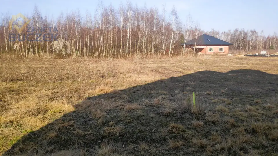 Zdjęcie 8