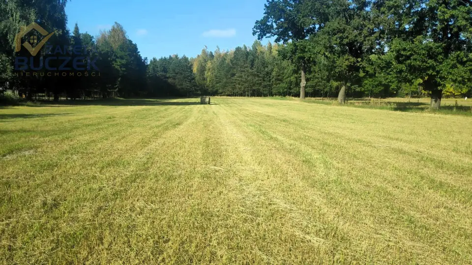 Działka budowlana i leśna 4 885 m², Lasocin