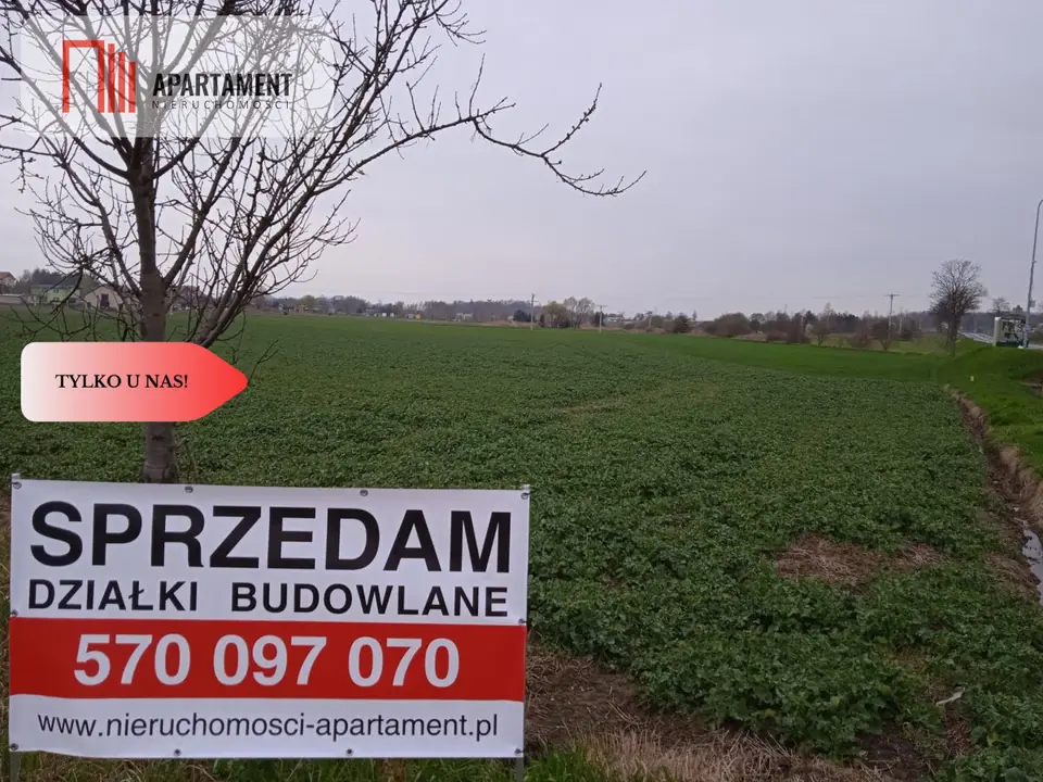 Zdjęcie 3