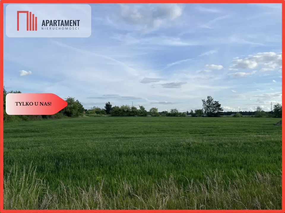 Działka budowlana i leśna 998 m², Dobra