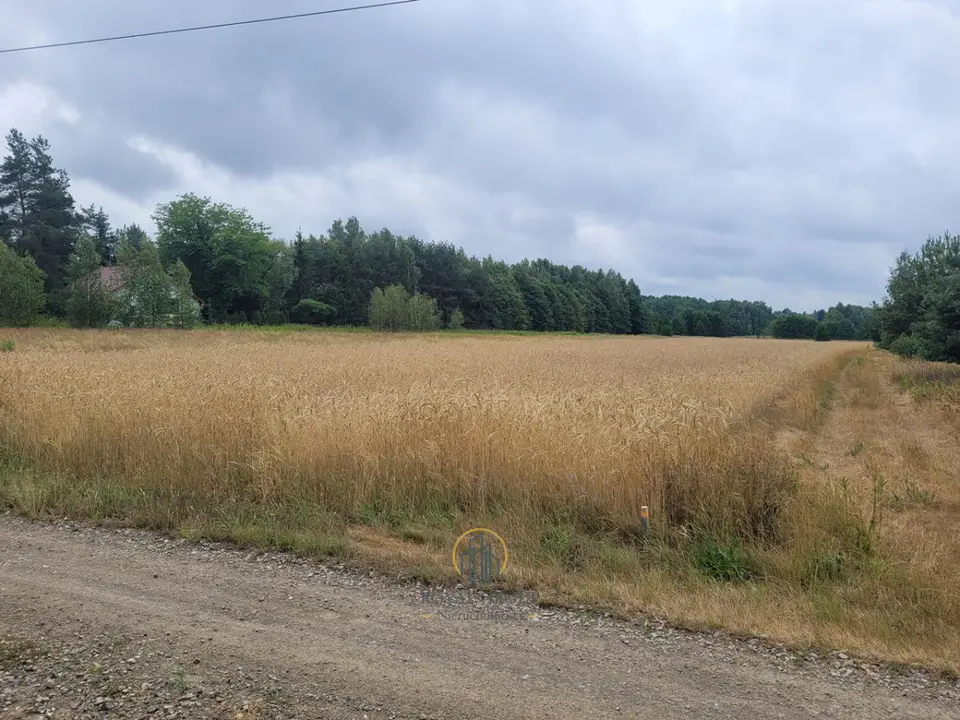 Działka siedliskowa 5 200 m², Łucka-Kolonia