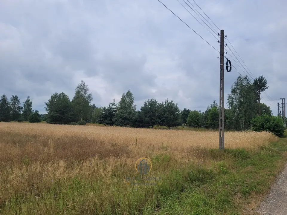 Zdjęcie 2