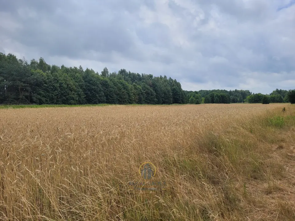 Zdjęcie 8