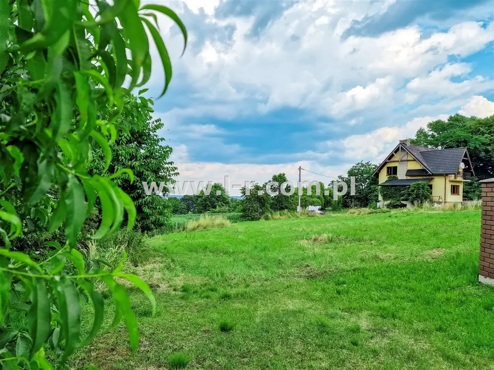 Zdjęcie 9