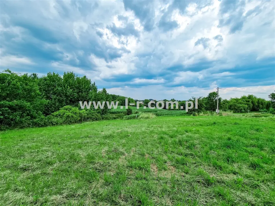 Zdjęcie 10