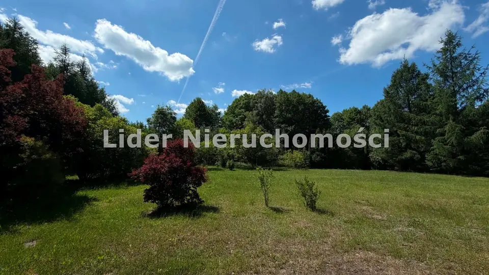Działka budowlana 3 799 m², Drzewociny