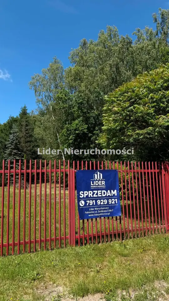 Zdjęcie 5