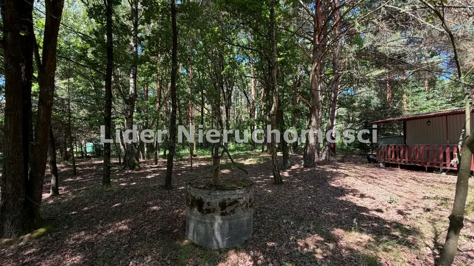Zdjęcie 6