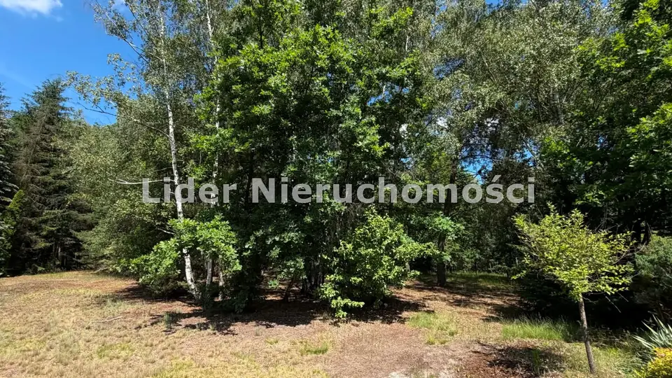 Zdjęcie 13