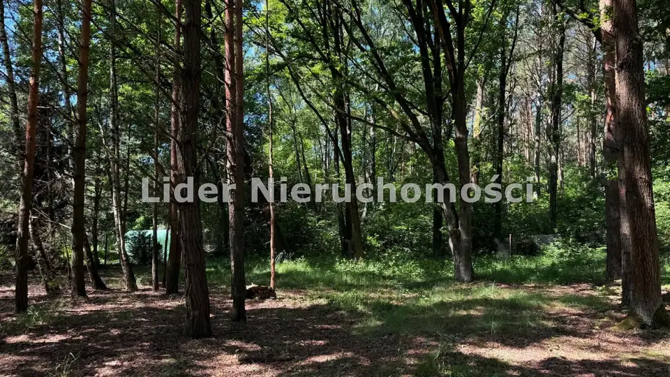 Zdjęcie 14
