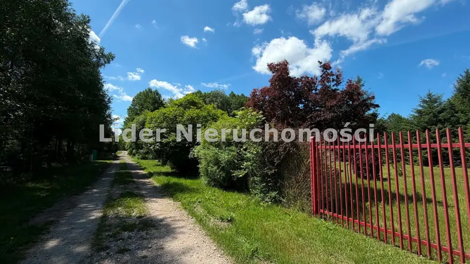 Zdjęcie 17