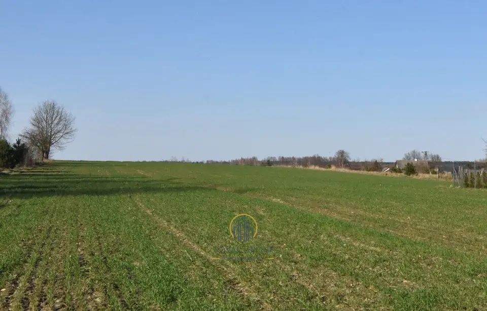 Zdjęcie 6