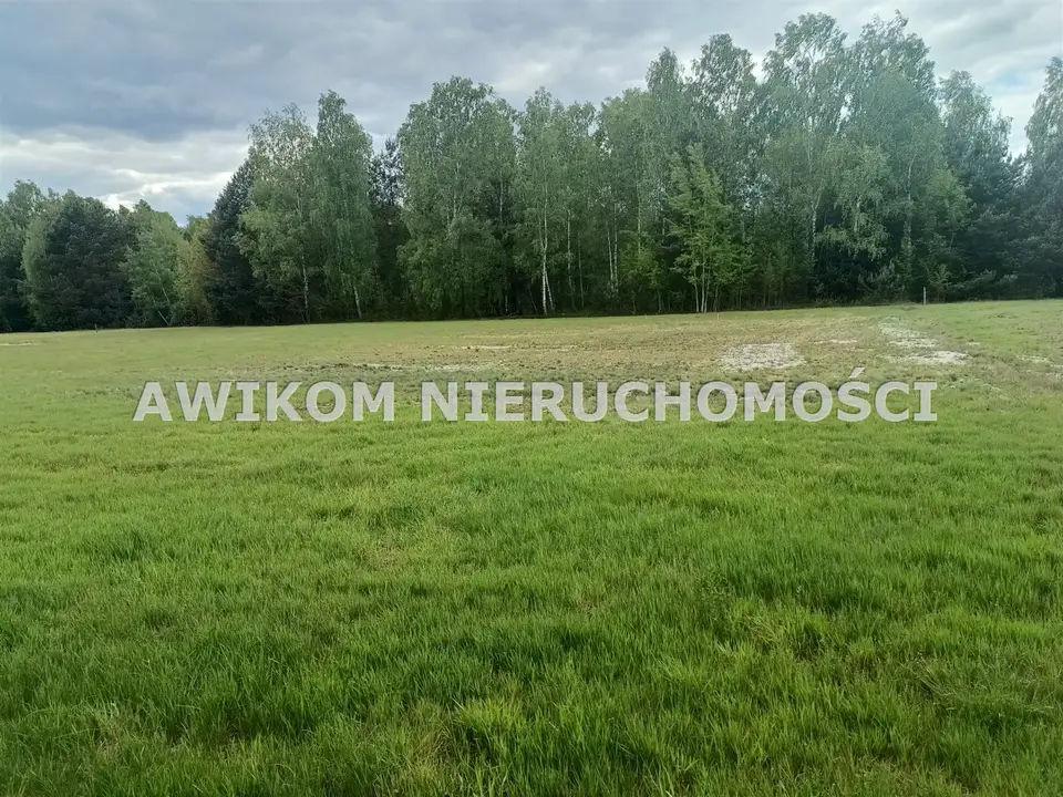 Zdjęcie 2