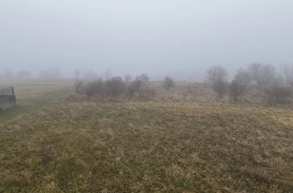 Zdjęcie 4