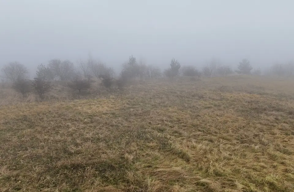 Zdjęcie 8