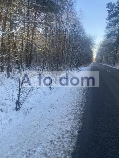 Działka leśna 1,82 ha, Choiny