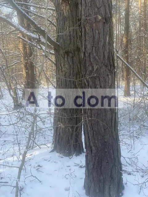 Zdjęcie 2