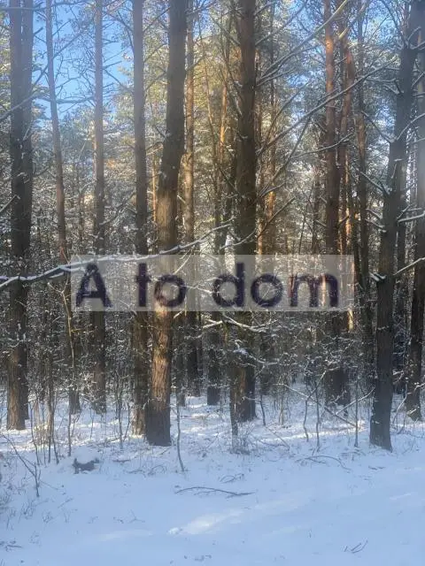 Zdjęcie 3