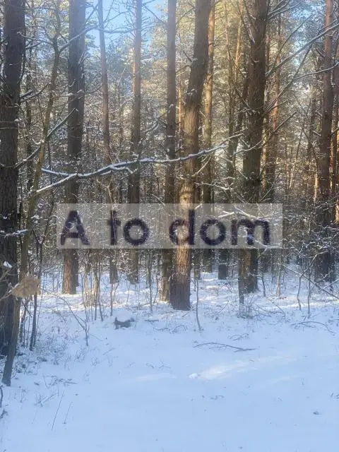Zdjęcie 4