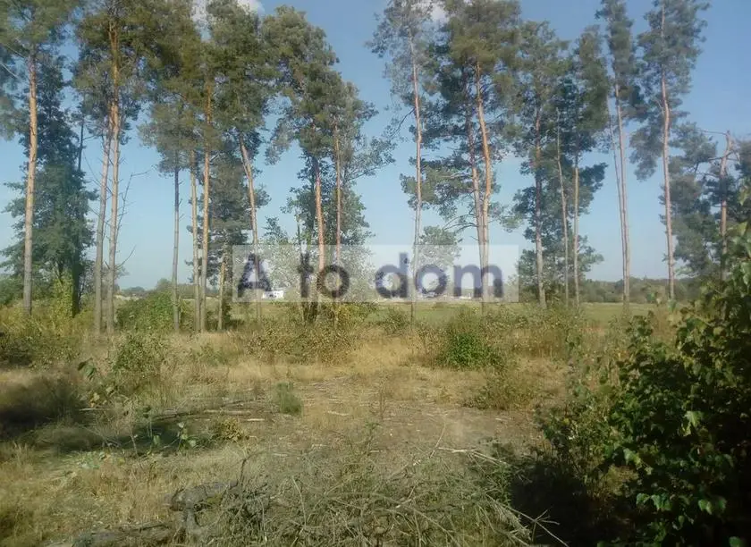 Działka rolna 8 800 m², Nadbiel