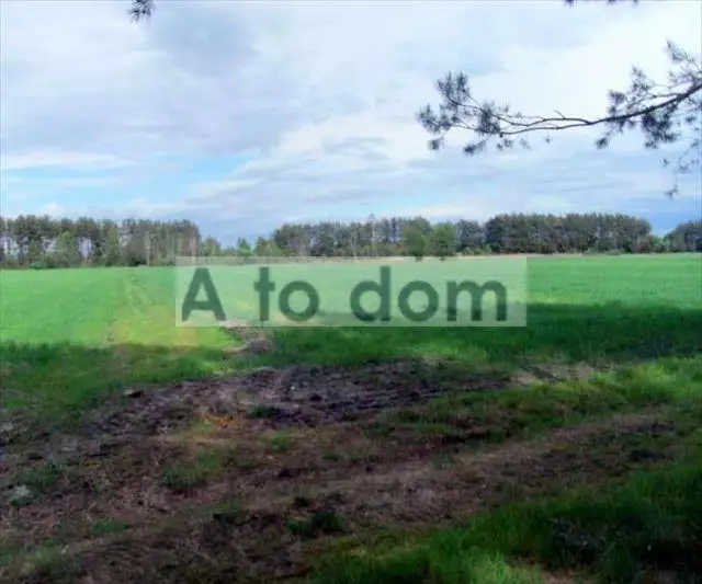 Zdjęcie 4